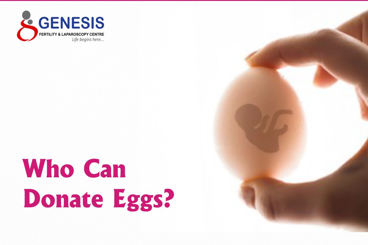 Donate Eggs